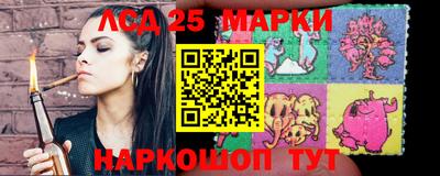 скорость Кингисепп