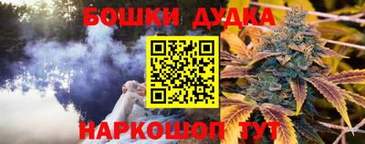 скорость Кингисепп
