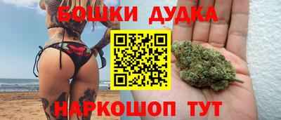 скорость Кингисепп