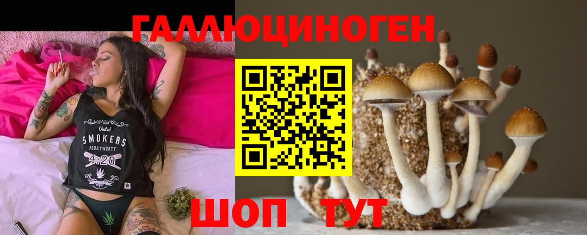Калач-на-Дону  Псилоцибиновые грибы Psilocybine cubensis  купить  цена  Вход с VPN 