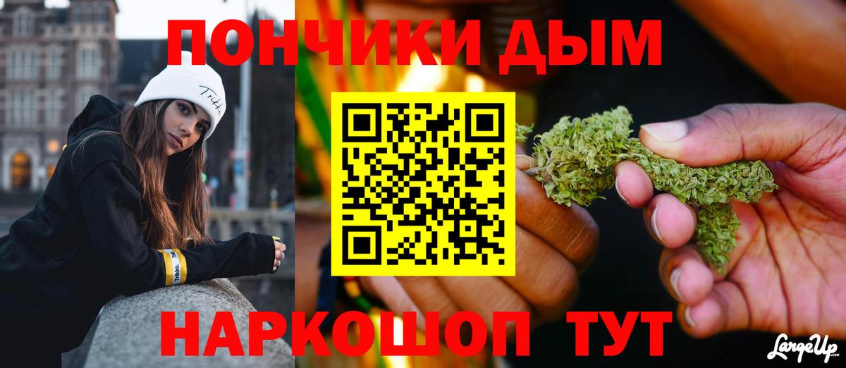Бошки Шишки семена Калач-на-Дону